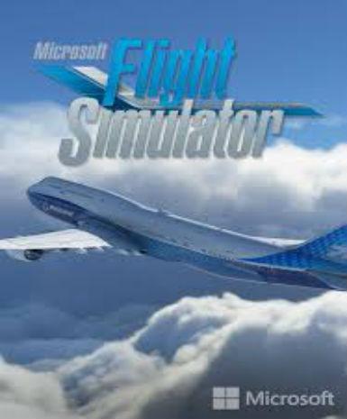 Microsoft Flight Simulator 2020